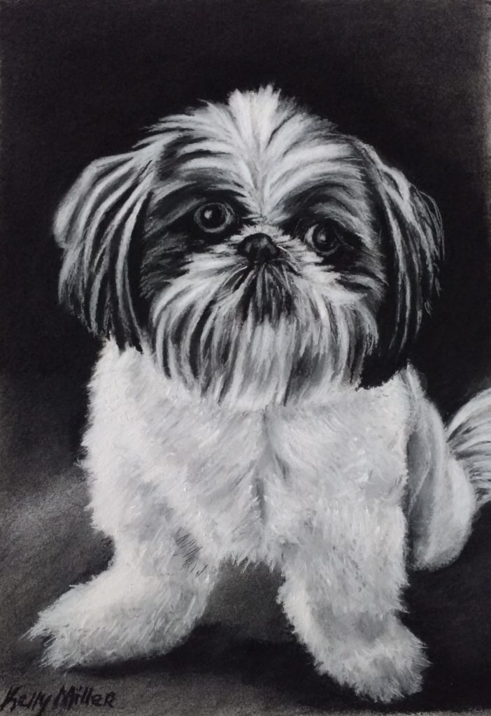 pet animal portrait artist