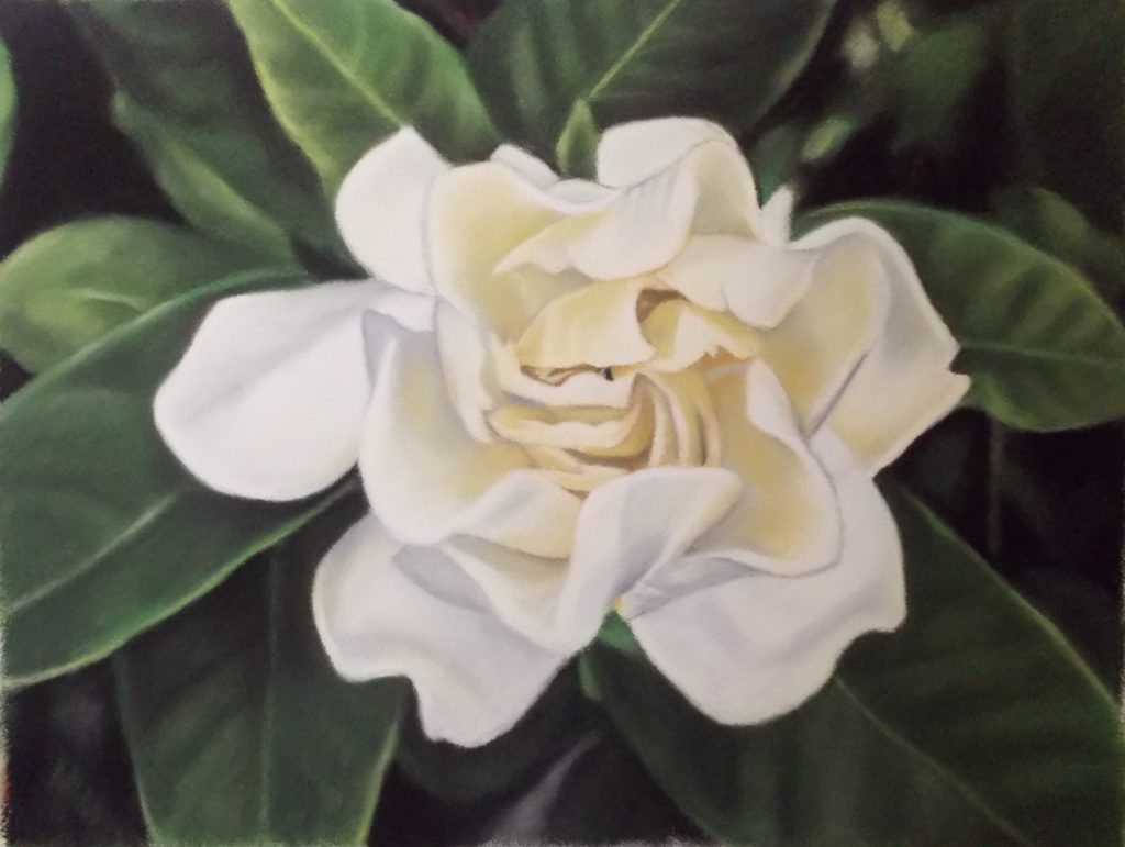 pastel flower drawing