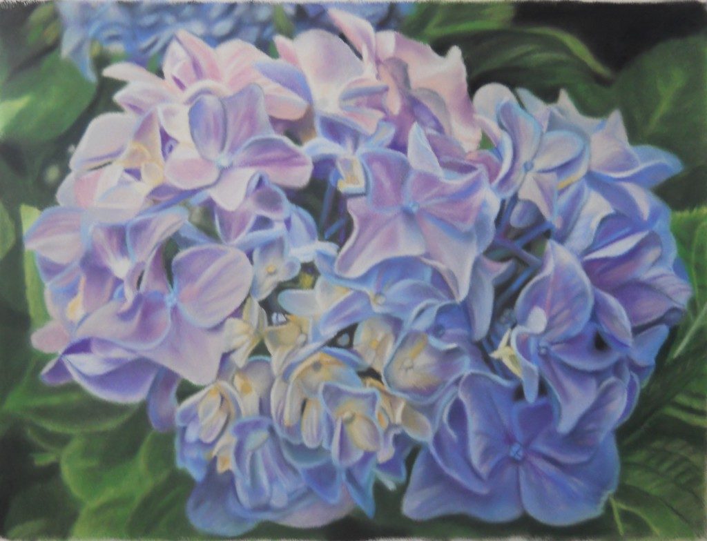 Hydrangea_Pastel_Buy_Framed_Art
