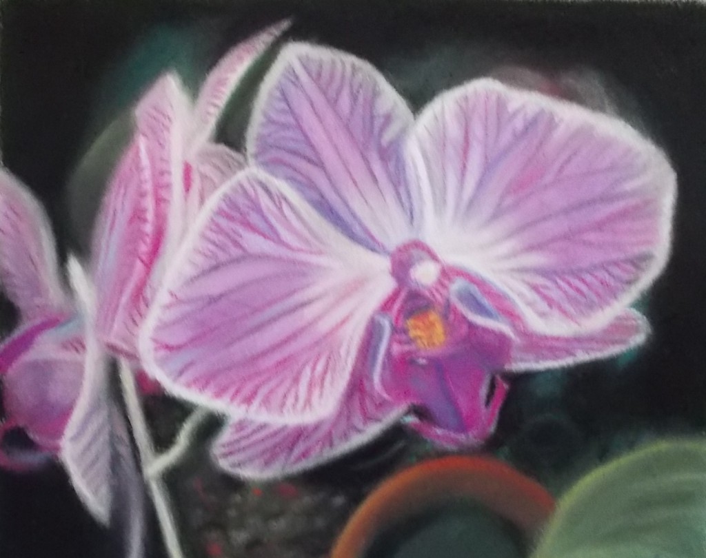 pastel flower drawing