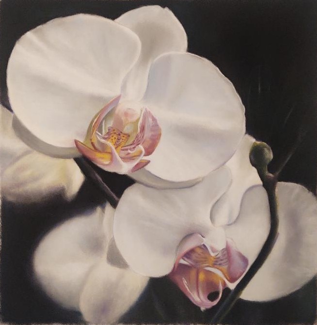 Orchids
Pastel on paper
27" x 29"